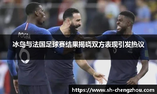 冰岛与法国足球赛结果揭晓双方表现引发热议