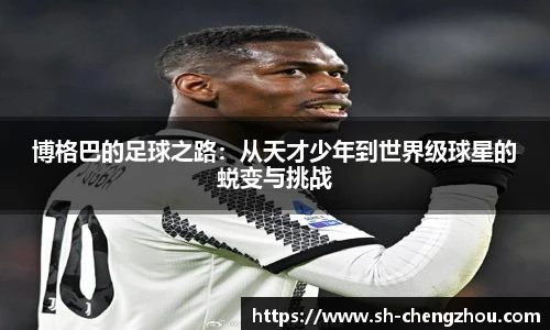 博格巴的足球之路：从天才少年到世界级球星的蜕变与挑战